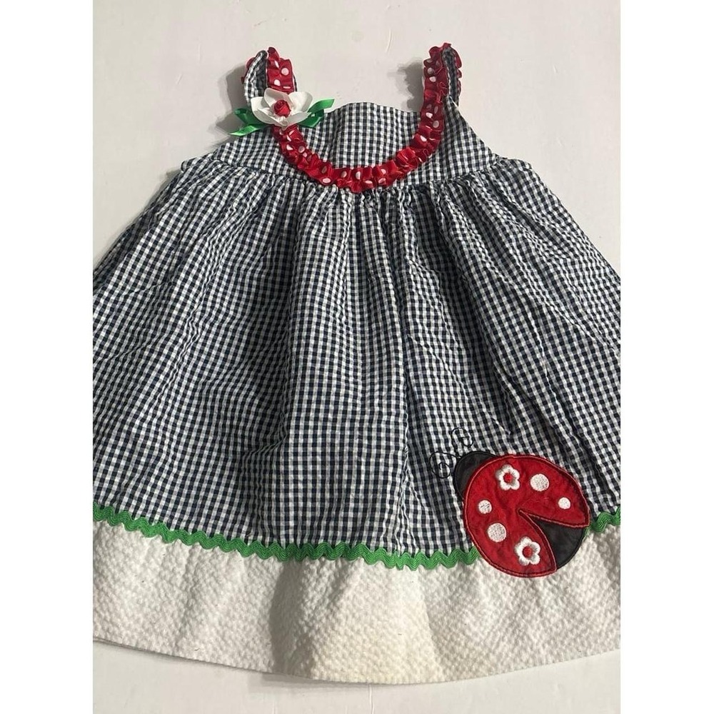 Rare Too Ladybug Seersucker Gingham Dress (3T)